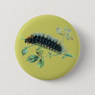 Bóton Redondo 5.08cm Arctia caja caterpillar