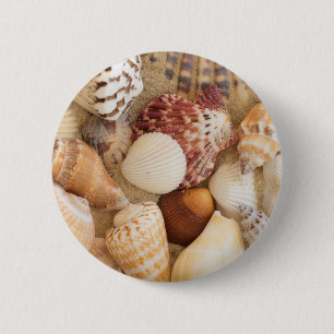Bóton Redondo 5.08cm Arranjo do Seashell