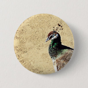 Bóton Redondo 5.08cm Arte de Ave e Pena de Pavão Elegante