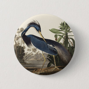 Bóton Redondo 5.08cm Arte de Pássaro da Garça da Louisiana de Audubon V