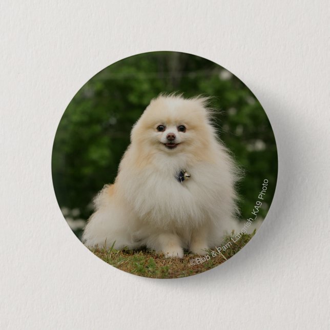 Bóton Redondo 5.08cm Assento de Pomeraning (Frente)