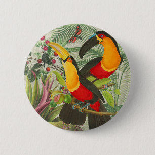Bóton Redondo 5.08cm Aves Tropicais Vibrantes Turianos Arte Selva Exóti