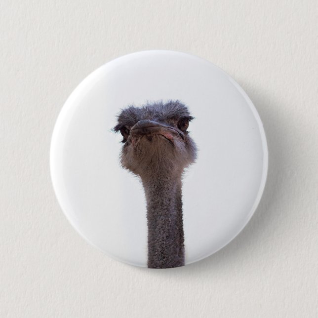 Bóton Redondo 5.08cm avestruz (Frente)