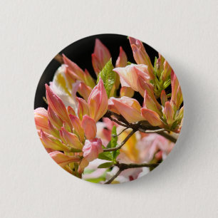 Bóton Redondo 5.08cm AZALEAS FLORES Verão 9 Azaleas Cartões presentes M