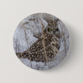 Bóton Redondo 5.08cm B11 Coruja-buraqueira