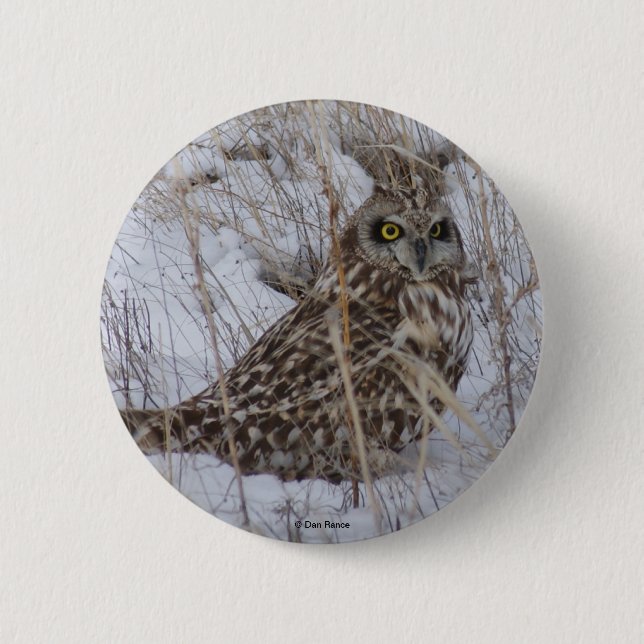 Bóton Redondo 5.08cm B11 Coruja de orelha curta (Frente)