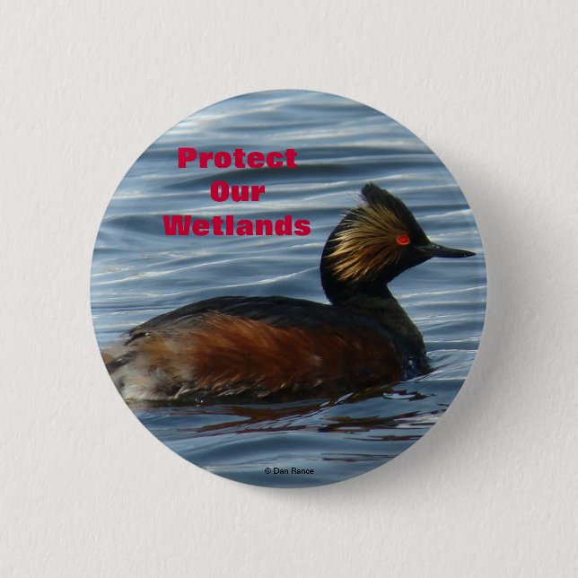 Bóton Redondo 5.08cm B1 Eared Grebe (Frente)