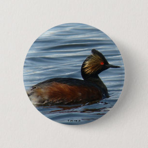 Bóton Redondo 5.08cm B1 Eared Grebe