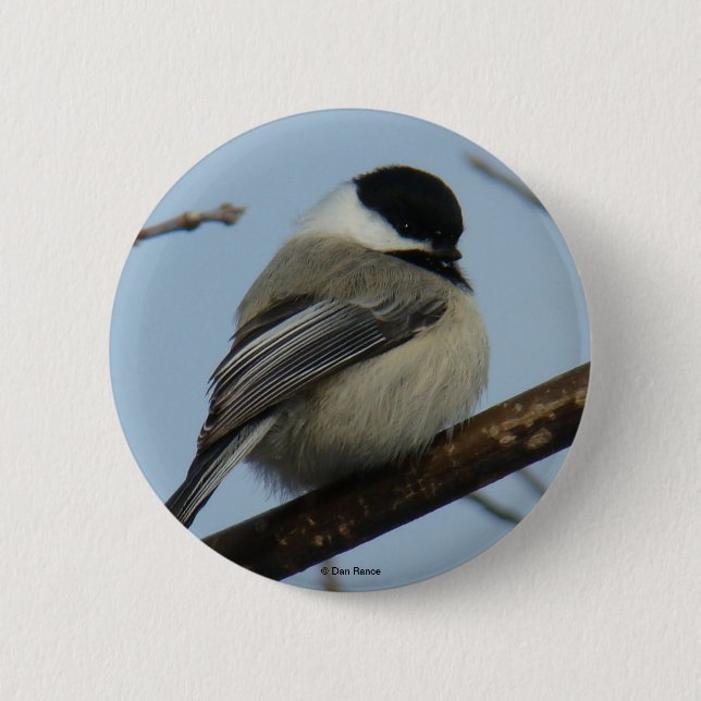 Bóton Redondo 5.08cm B21 Chickadee (Frente)