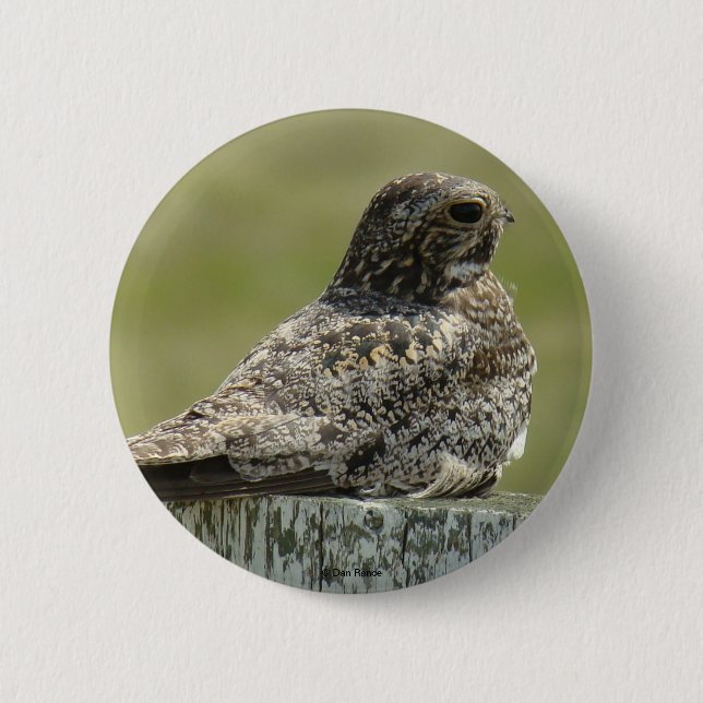 Bóton Redondo 5.08cm B2 Nighthawk (Frente)