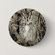 B51 Coruja Buraqueira