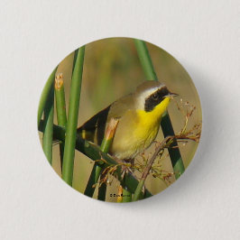 Bóton Redondo 5.08cm B9 Papa-figo