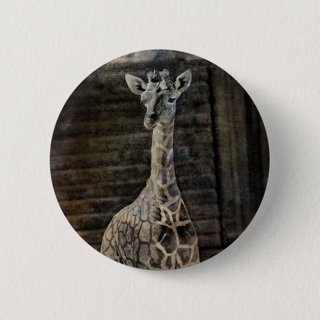 Bóton Redondo 5.08cm Baby Giraffe (Frente)
