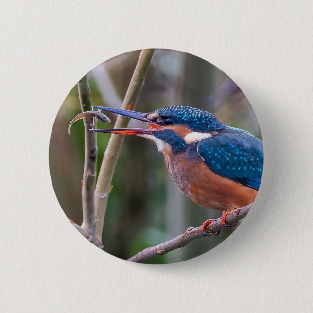 Bóton Redondo 5.08cm badge (Frente)