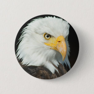 Bóton Redondo 5.08cm Bald Eagle