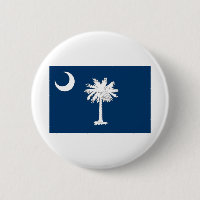 Bandeira da Carolina do Sul