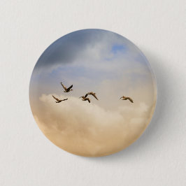 Bóton Redondo 5.08cm Bando de Aves em Voo