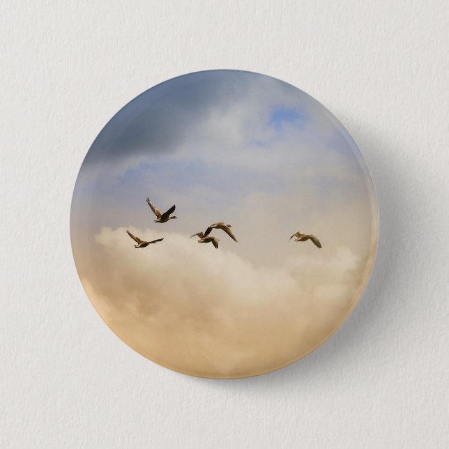 Bóton Redondo 5.08cm Bando de Aves em Voo (Frente)