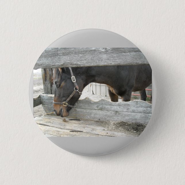 Bóton Redondo 5.08cm Barn Horse Humor (Frente)