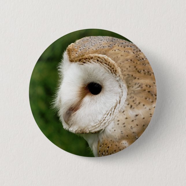 BÓTON REDONDO 5.08CM BARN OWL (Frente)