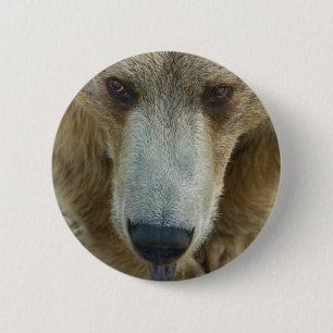 Bóton Redondo 5.08cm Bear Flair