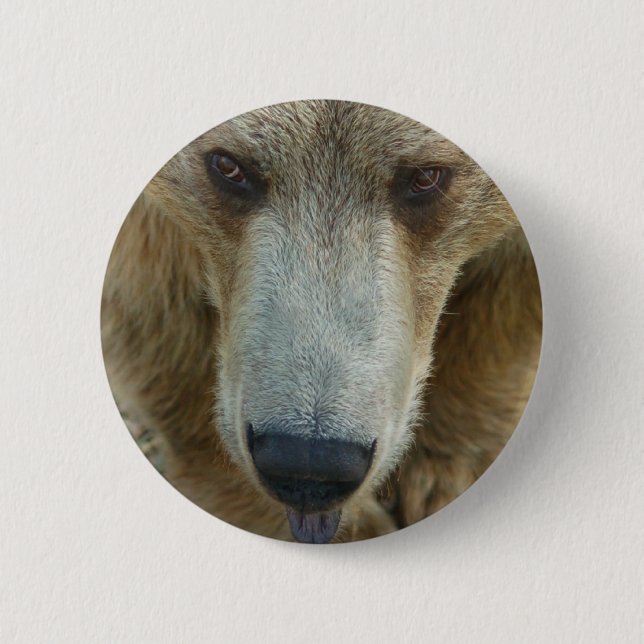 Bóton Redondo 5.08cm Bear Flair (Frente)