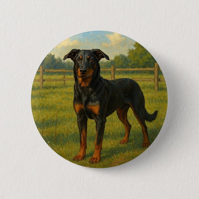 Bóton Redondo 5.08cm Beauceron (Frente)