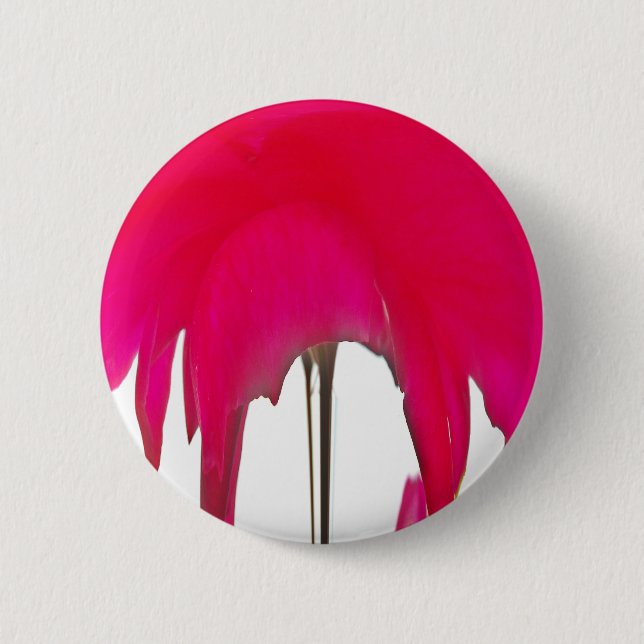 Bóton Redondo 5.08cm Beautiful amazing Red rose under the white sky (Frente)