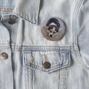 Bóton Redondo 5.08cm Bebês Mais Pobres   Corgi Puppy em Shag Rug