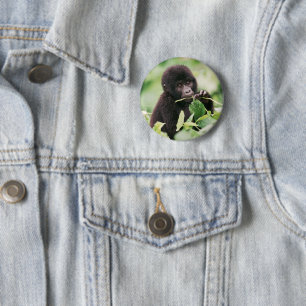 Bóton Redondo 5.08cm Bebês Mais Pobres Montanha Gorilla Baby