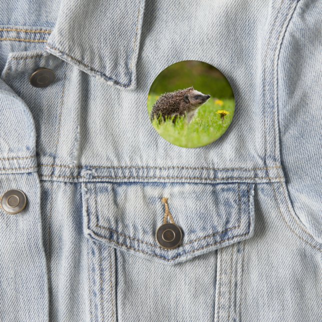 Bóton Redondo 5.08cm Bebês Mais Pobres | Nevoeiro europeu (In Situ)