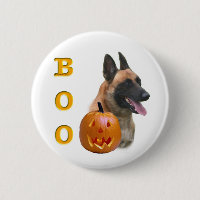 Belga Malinois Boo