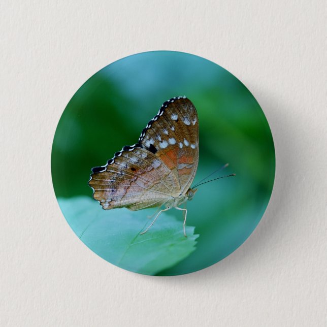 Bóton Redondo 5.08cm Belo Danaus Plexippus Butterfly em Folha. (Frente)