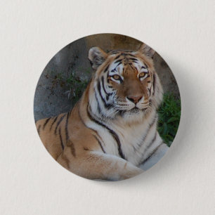 Bóton Redondo 5.08cm Bengal Tigers