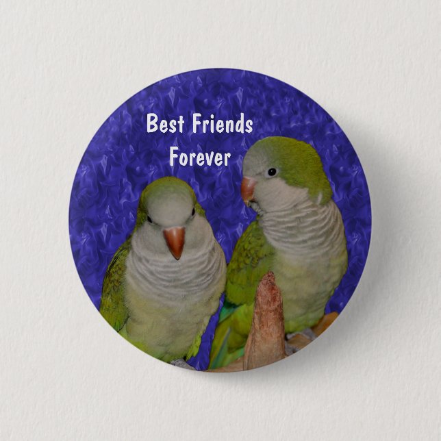 Bóton Redondo 5.08cm Best Friends Cute Birds Friendship Button (Frente)