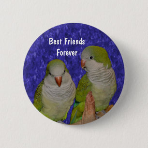 Bóton Redondo 5.08cm Best Friends Cute Birds Friendship Button