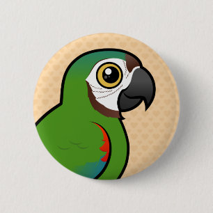 Bóton Redondo 5.08cm Birdorable Castanha-fronteou o Macaw