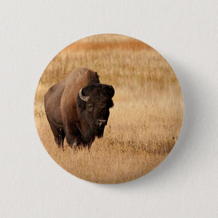 Bóton Redondo 5.08cm Bisonte