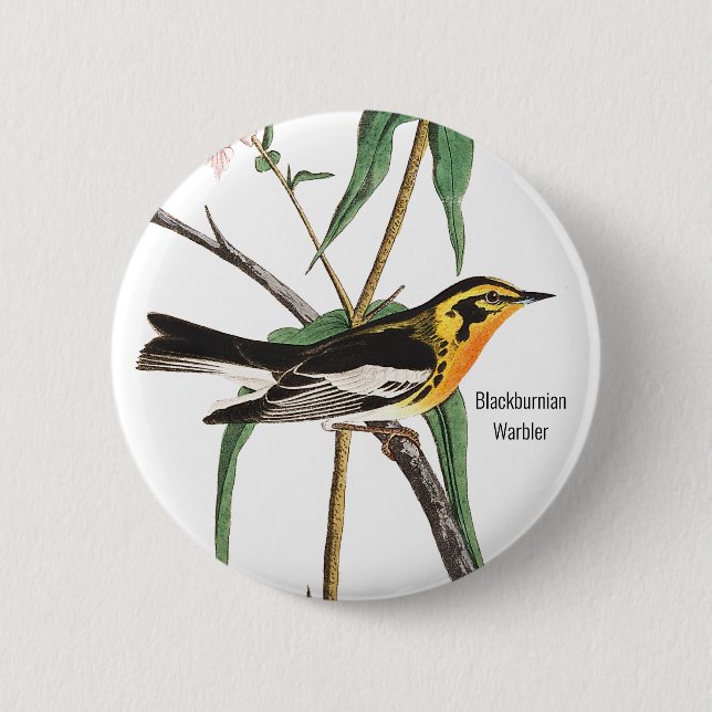 Bóton Redondo 5.08cm Blackburnian Warbler, Audubon, Wildlife Birder, (Frente)