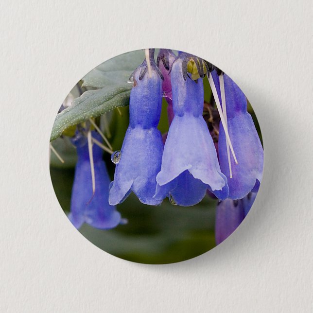 Bóton Redondo 5.08cm Bluebeldes (Frente)