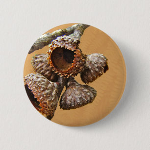 Bóton Redondo 5.08cm Bonés Oak Acorn