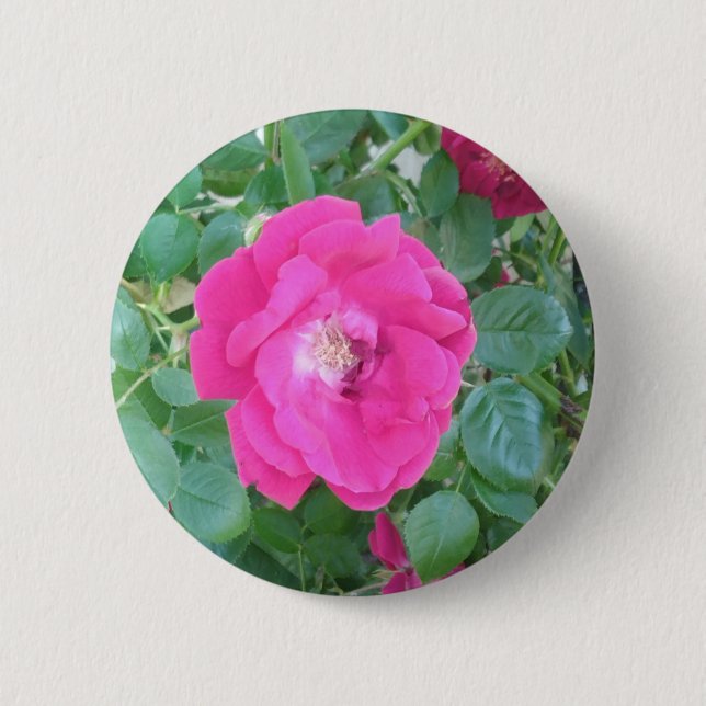 Bóton Redondo 5.08cm Bonito na Flor Rosa (Frente)