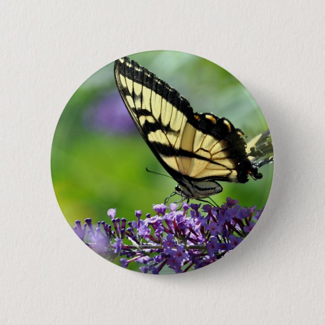 Bóton Redondo 5.08cm Borboleta amarela e preta na Lavanda (Frente)