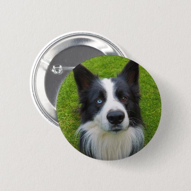 Bóton Redondo 5.08cm Border Collie (Frente & Verso)