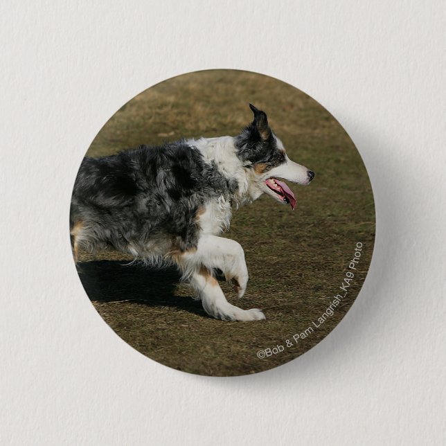 Bóton Redondo 5.08cm Border collie que funciona 1 (Frente)