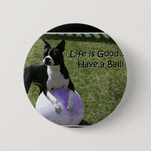 Bóton Redondo 5.08cm Boston Terrier:  Tenha uma bola!