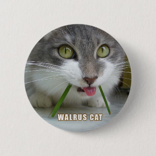 Bóton Redondo 5.08cm Botão 009 de Rema