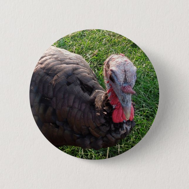 Bóton Redondo 5.08cm Botão 1 dos acres de Wedrose (Frente)