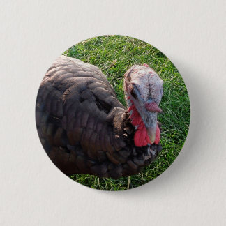 Bóton Redondo 5.08cm Botão 1 dos acres de Wedrose