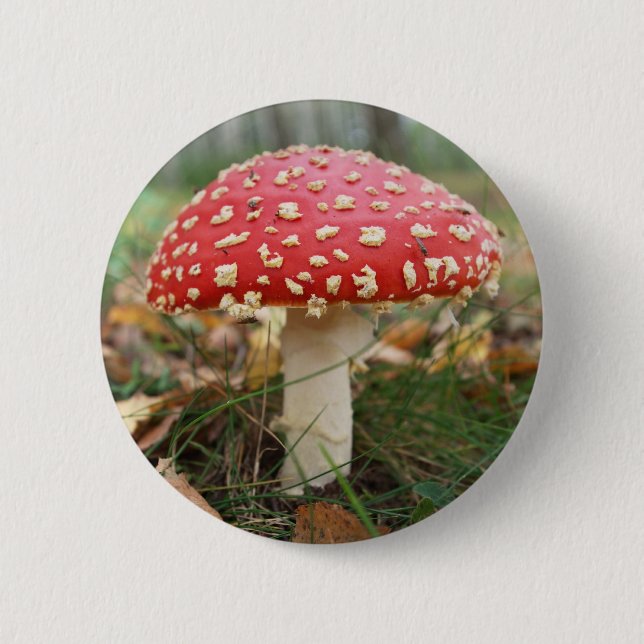 Bóton Redondo 5.08cm Botão Agárico de Voo Vermelho (Frente)